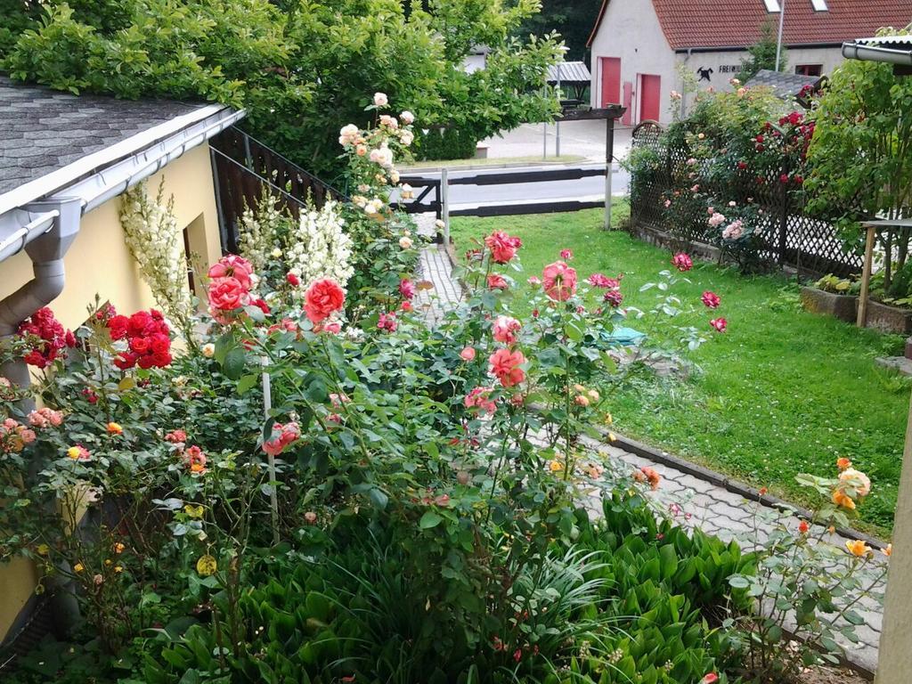 Waldblick * Sangerhausen